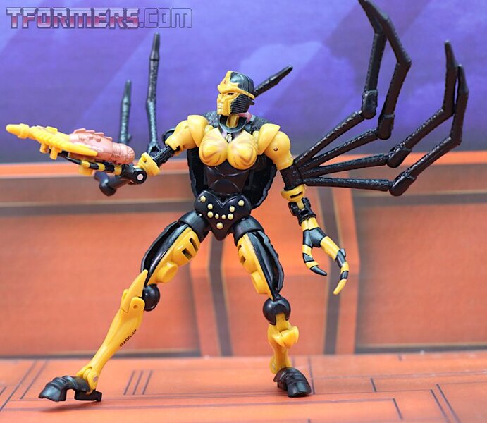 Transformers Kingdom Blackarachnia  (13 of 46)